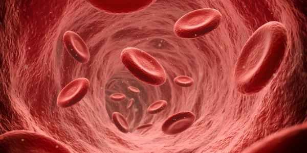 Ayurveda for Hemoglobin: Tips Maintain Healthy Hemoglobin Levels