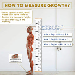 Growth DNA - Ayurvedic Height Increaser Program | Growth Plate Activator | Guaranteed Results Formula | 100% Natural