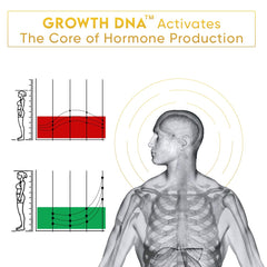 Growth DNA - Ayurvedic Height Increaser Program | Growth Plate Activator | Guaranteed Results Formula | 100% Natural