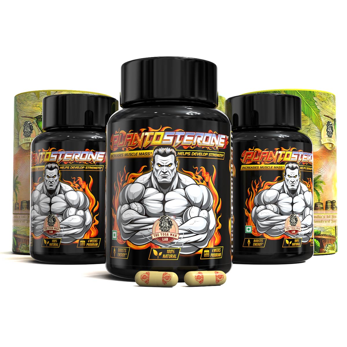 PLANTOSTERONE - Muscle Building & Testo-Boosting Ayurvedic Supplement | Helps Gain Muscle Size & Weight, with Increase in Sexual Drive | 100% Natural Health Care > Muscle Building > Muscle Growth > Supplement > Ayurvedic Weight Gain The Yoga Man Lab Pack of 3: ₹3999 (47% Off)  