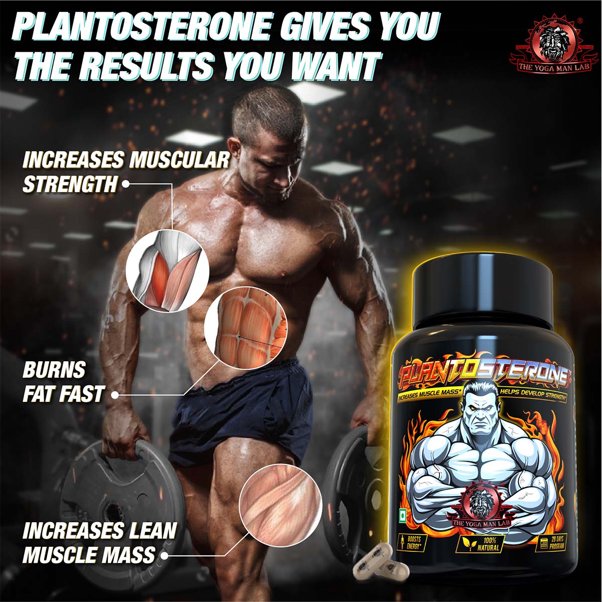 PLANTOSTERONE - Sexual Health Booster Supplement For Men | Helps Increase Libido & Sexual Drive | Ayurvedic & 100% Natural Health Care > Muscle Building > Muscle Growth > Supplement > Ayurvedic Weight Gain The Yoga Man Lab   