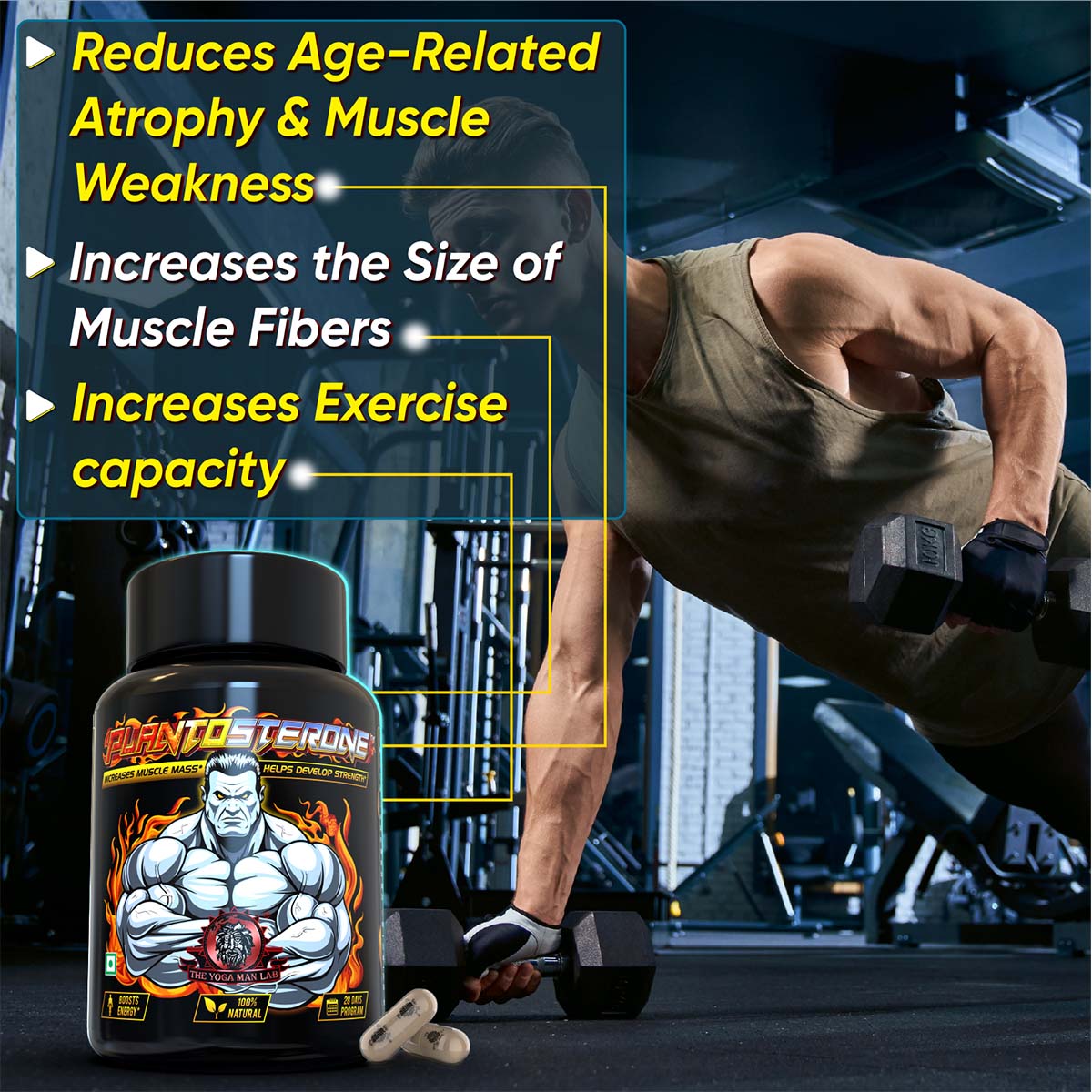 PLANTOSTERONE - Muscle Building & Testo-Boosting Ayurvedic Supplement | Helps Gain Muscle Size & Weight, with Increase in Sexual Drive | 100% Natural Health Care > Muscle Building > Muscle Growth > Supplement > Ayurvedic Weight Gain The Yoga Man Lab   